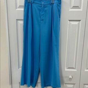 Men's Blue Pants
